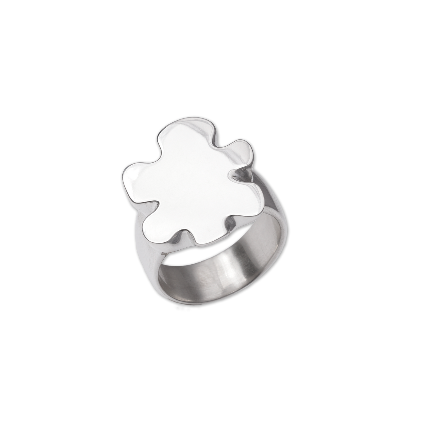 The Silver Puzzle Ring