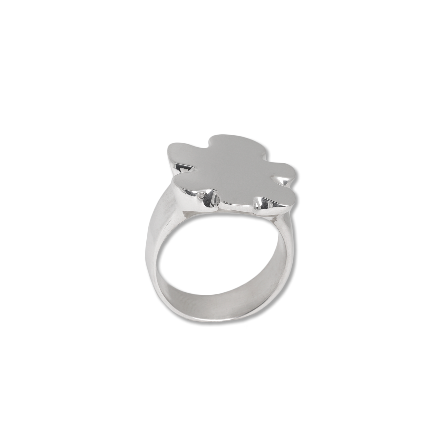 The Silver Puzzle Ring